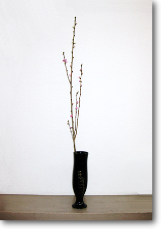 4-主体の枝を花器に垂直に固定