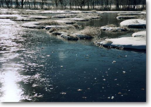 池塘の水も草木も凍てつく氷の世界