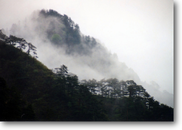 奥山に霧がかかり日本画のよう