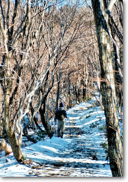 冬の角田山