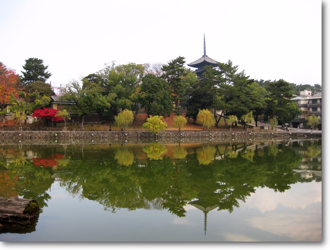 興福寺と猿沢の池