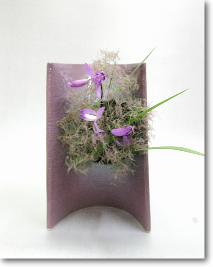 想い花：煙の木、紫蘭