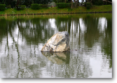大沢池の庭湖石
